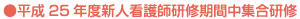 平成25年度新人看護師研修期間中集合研修