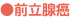 ●前立腺癌